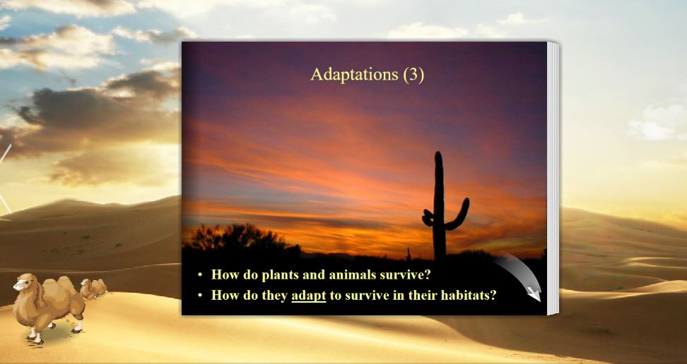 adaptations